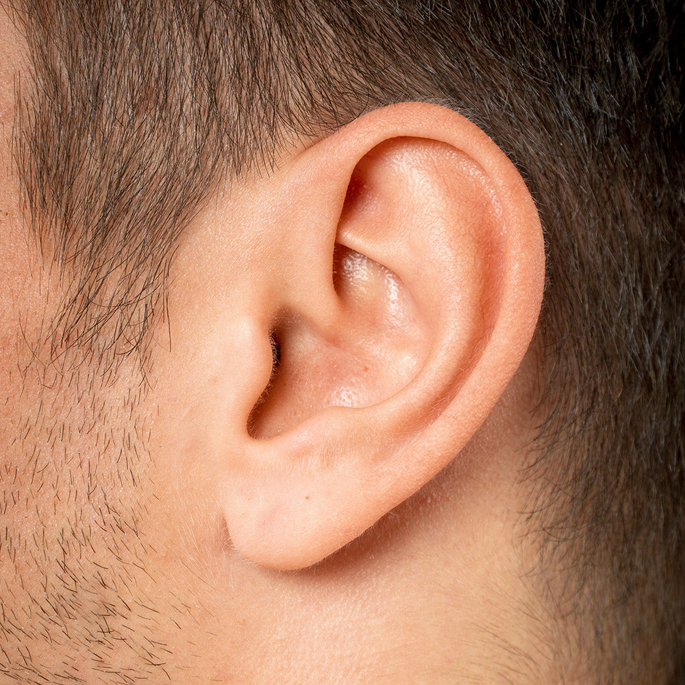 A man's ear as part of a series
