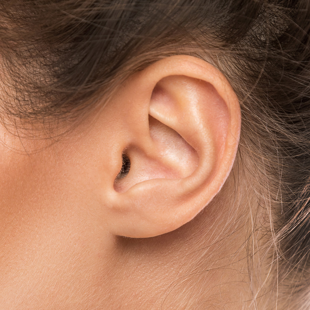 A woman's ear as part of a series
